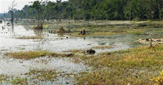 Cambodge