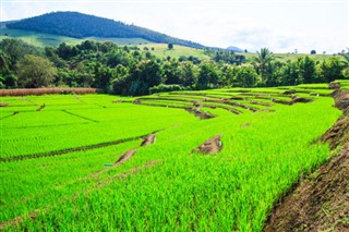 Camboya