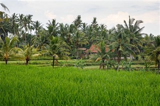 Cambodia