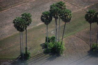 Camboya