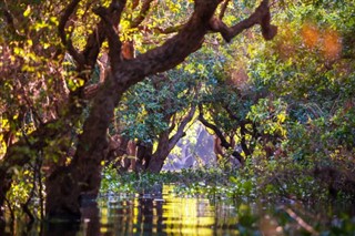 Cambodge