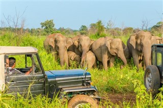 Camboya