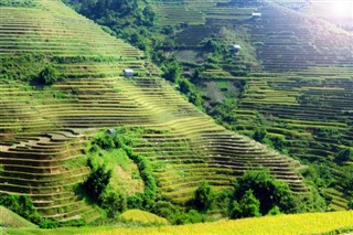 Camboya