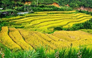 Cambodia