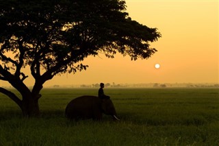 Camboya