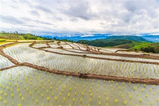 Камбоџа