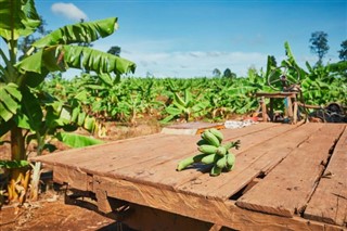 Cambodia