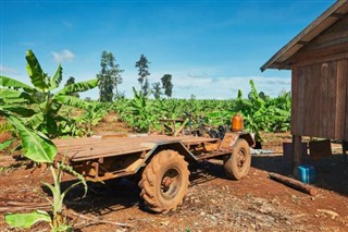 Camboya