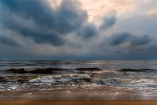 கமரூன்