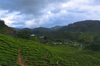 கமரூன்
