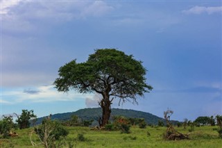 Cameroun