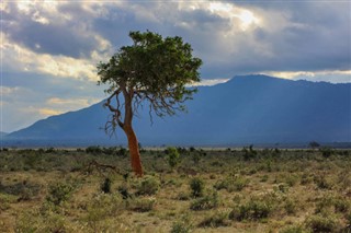 Kamerun