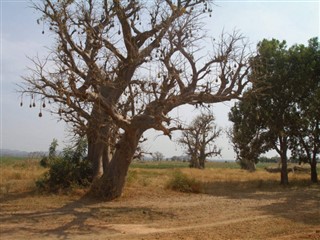 Kamerun