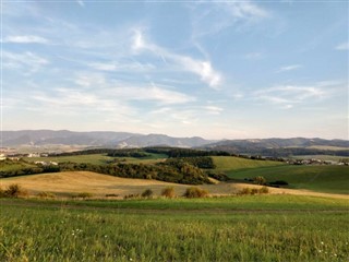 Žaliojo