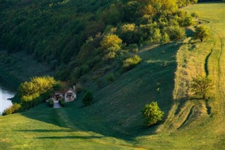 Žaliojo