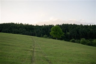Капе