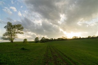 Žaliojo