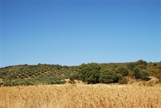 Πράσινο