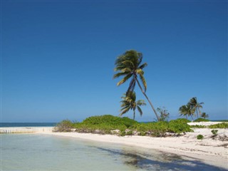 கெய்மன்