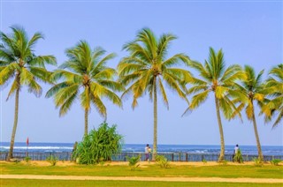 ケイマン諸島