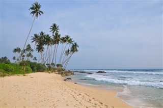 ケイマン諸島