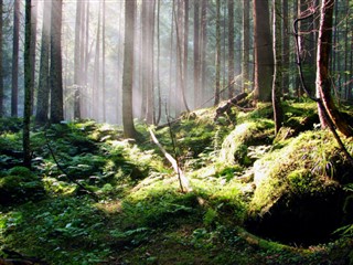 Централна