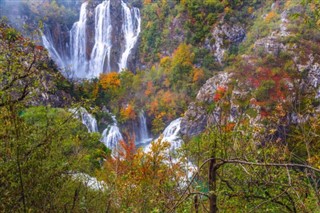 中非共和國