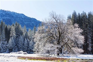 Centralna