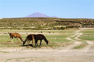 Chile