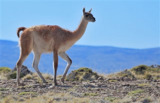 Chile