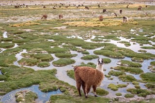 Chile