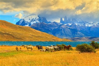 चिली