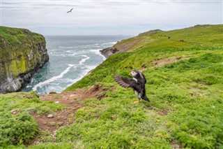 หมู่เกาะโคโค