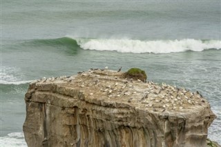 ココス諸島