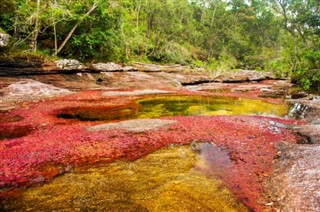 Colombia