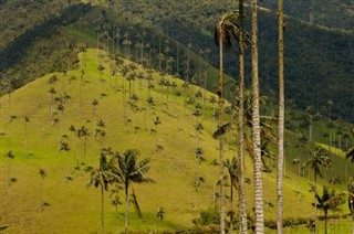 Colombie