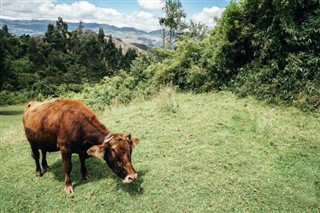 Колумбија