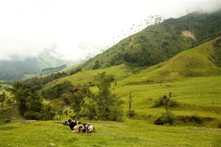 Colombia