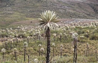 Colombia