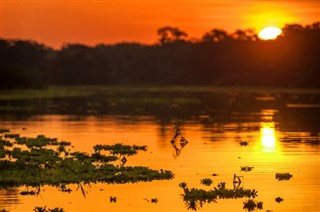 কলোমবিয়া