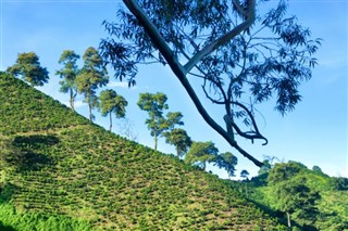 கொலம்பியா