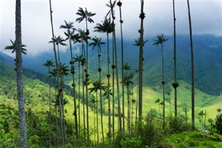 Colombia