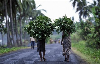 Comores