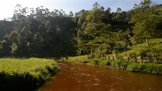 Kongó,
