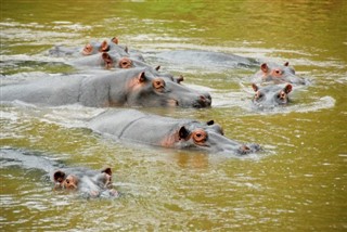 สาธารณรัฐประชาธิปไตยคองโกของ