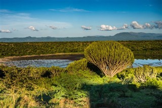 コンゴ共和国