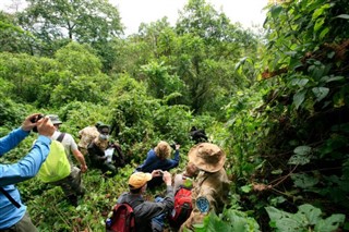 காங்கோ,