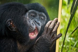 Congo,