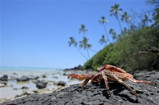 Kepulauan