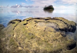หมู่เกาะคุก